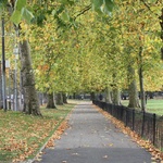 The colours start to change