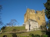 January: We venture out to see Guildford Castle (and pickup Dukey II)