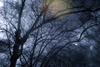My first infrared photograph! A long way to go but a result!