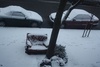 Our free couch out in the cold