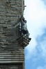 I assume, a statue of Wallace, attached to his monument