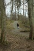 Lost in the wilderness