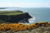 Amazing green cliffs into the waters