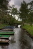 Killarney National Park walk