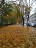 Autumn in Highbury, 2009