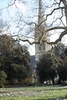 Clissold Park, 2009