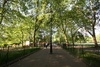 Highbury Fields walkway, 2010