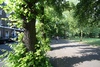 Highbury fields walk to the station, 2010