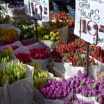 Flower markets, 2010