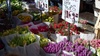 Flower markets, 2010