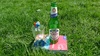 Picnic in the park to plan our South Amercia trip with Smurf, 2010
