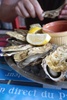 Oysters up close