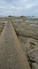 Tom takes a wrong turn to sea!