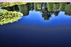 reflection