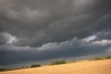 Just in time before the storm set in (although it never arrived)