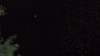 Not a starry night but a buggy one!