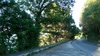 Riding up the hilliest hill ever! Ngaio Gorge would compare