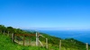 Amazing views along the way