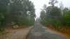 The bike ride through the forest was magical.