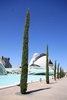 City of Arts and Sciences - pretty