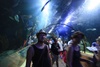 Aquarium
