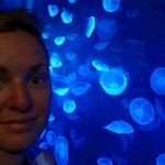Aquarium - funky illuminated jellyfish