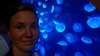 Aquarium - funky illuminated jellyfish