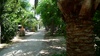 Pretty little campsite