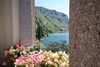 The view from a lovely garden