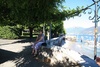 Mum and the lake