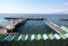 Not free swimming