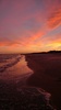 Montpellier, France sunset  