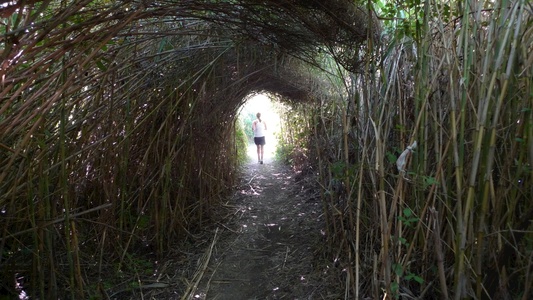 Our jogging path through bamboo!