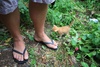 Ginger is thinking, man those feet are huge!