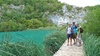 Walking the boardwalks