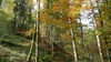 Amazing autumn colours