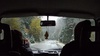 Snow in the black forest