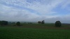 Amazing scenic drive with loud Smurf
