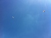 Gini in the air