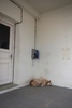 So sleepy