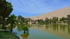 Oasis de la Huachachina