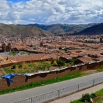 Lama and Cusco