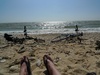 Stopped at a small beach outside La Rochelle for a quick dip. Very hot here today!