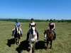 Horse Riding in the Black Mountains in Wales with the kiwi girls!