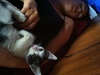 We woke up this morning with a new friend - Purry, pronounced 