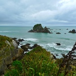 Pancake Rocks (Punakaiki) on the West Coast