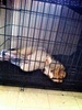 Another odd sleeping position