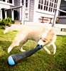Eat the gumboot! Good boy.