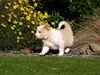 And venturing outside!