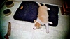He has some very strange sleeping positions.